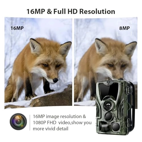 Wildlife Hunting Camera - 5MP