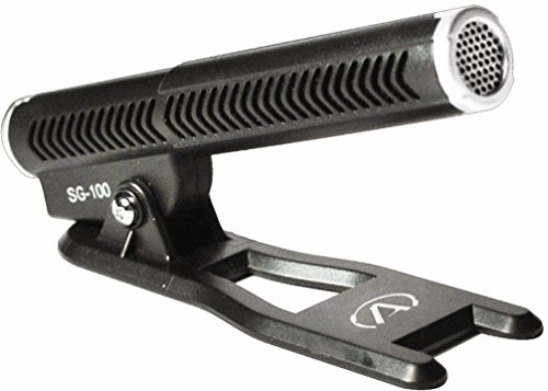 SG-100 USB Microphone