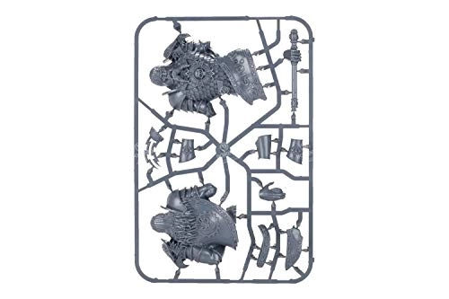 Age of Sigmar: Dominion Of Sigmar: Timeworn Ruins