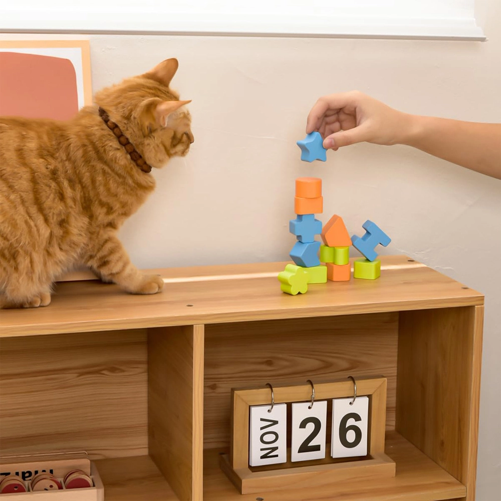 Wooden Activity Box - Suitable for 3 years and above 12 Pcs