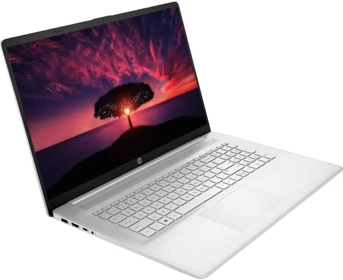 Thin and Light 17 HP-17 - 17.3'' Ryzen 5 5500U 16GB DDR4 512GB SSD
