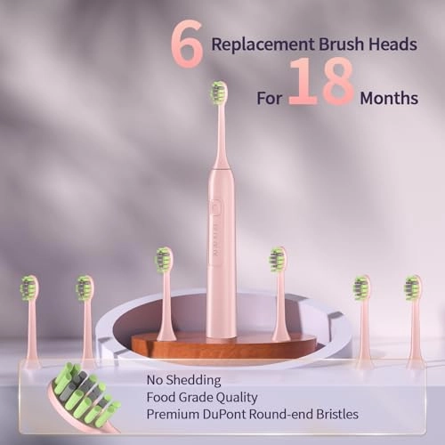 Y05-0305 - 42000VPM 4 Modes 6 Brush Heads