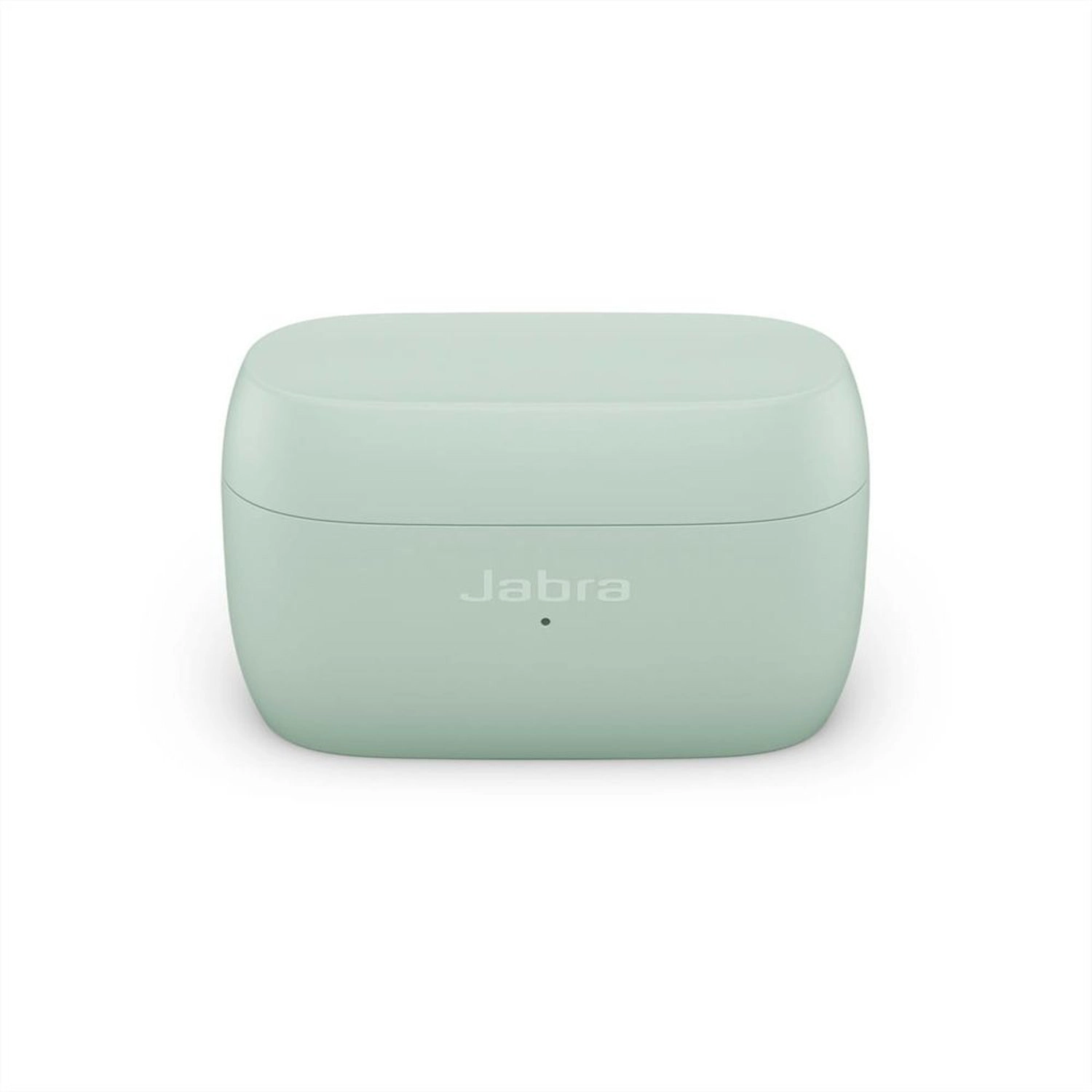 Elite 4 Active Wireless Earbud