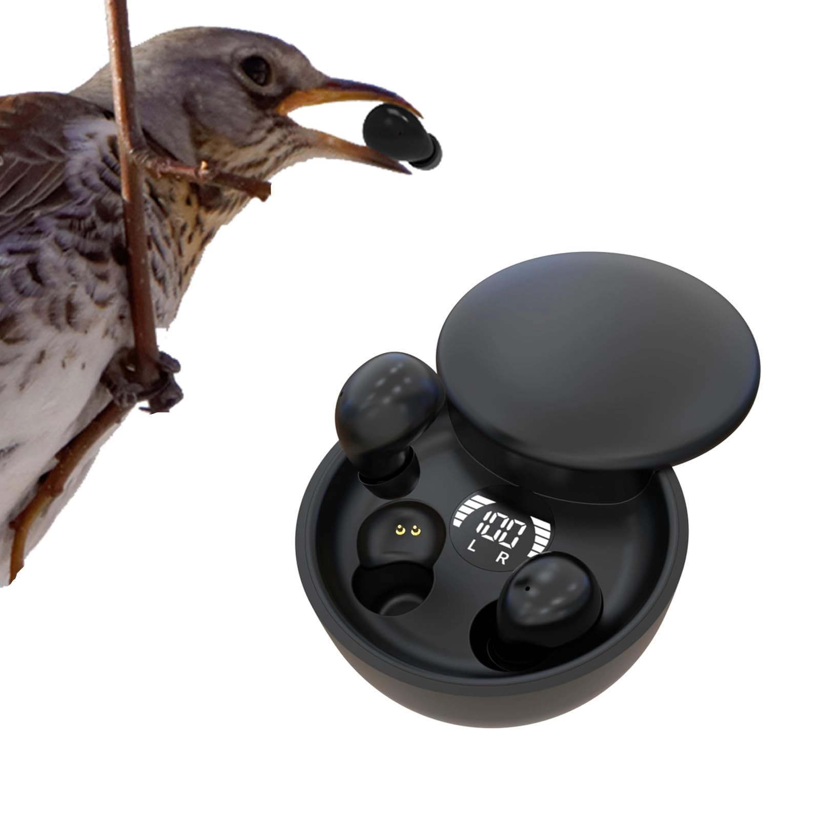SSK269 Wireless Earbud
