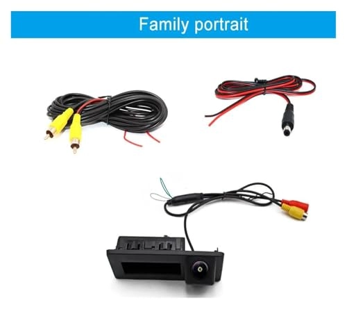 Octavia Mk3 - night vision Wire 1080p