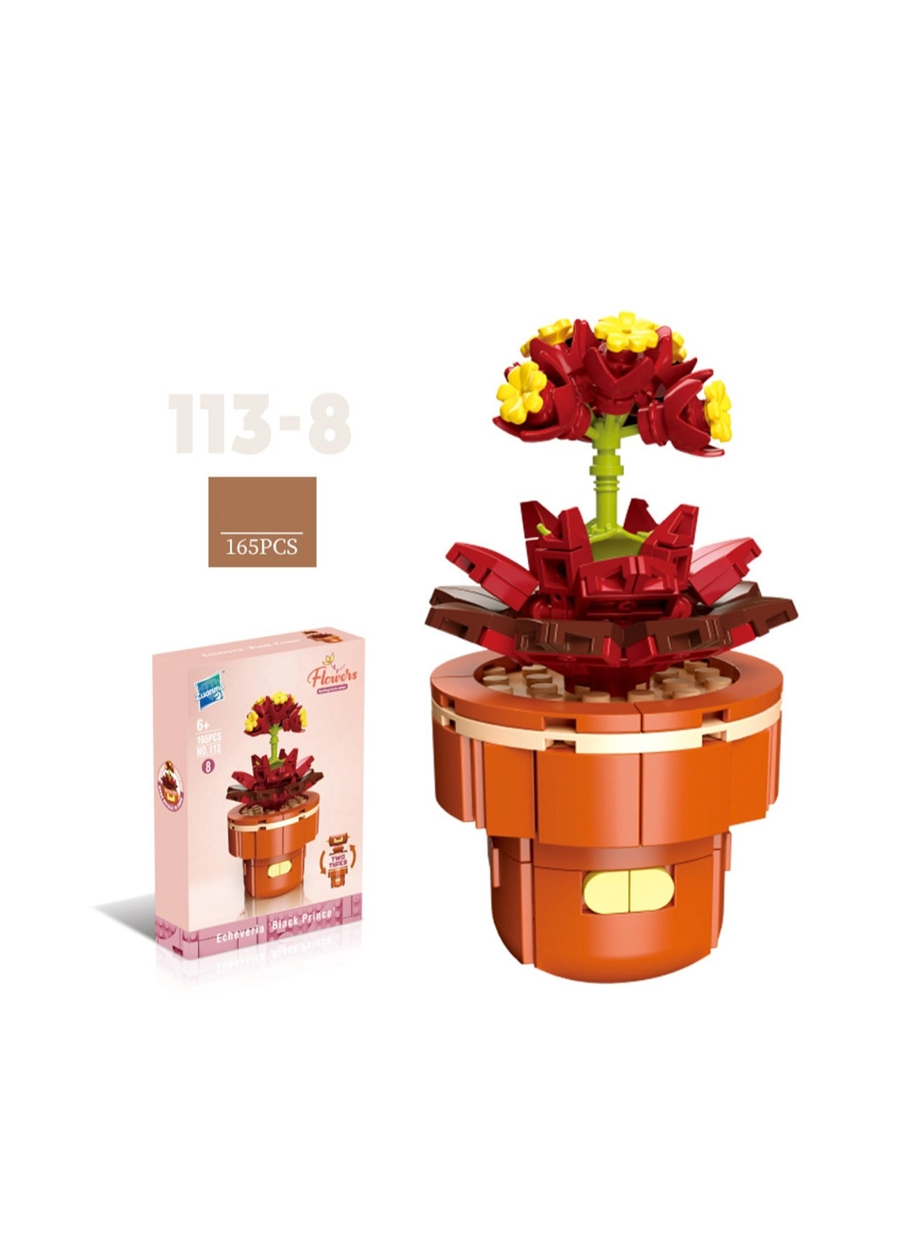 Generic Mini Flower Pot - Black Prince 165pcs