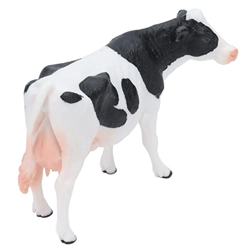 Simmental Cattle - 18 months - 3 years 1 1