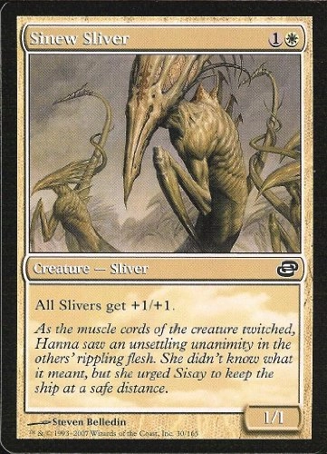 Sinew Sliver