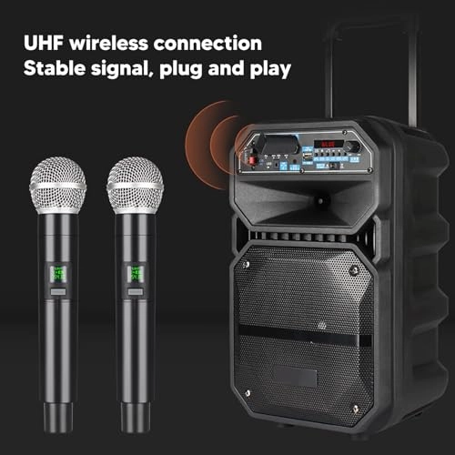 Wireless Microphone System - 2