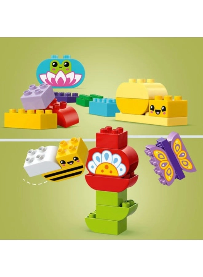 LEGO Duplo Creative Garden & Flowers
