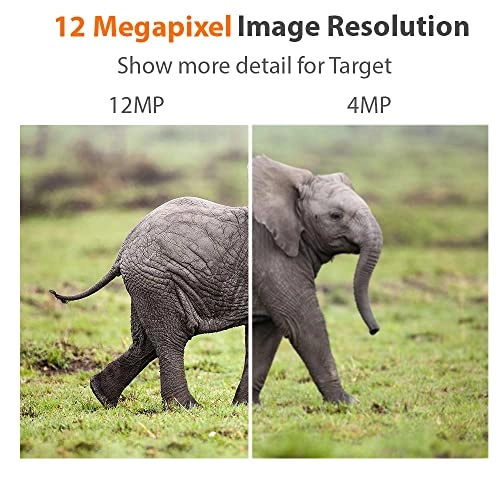 GW6816NP - 16 Channel 8TB + GW1263601M - 12MP Microphone + GWCAT60 - 60ft + GWCAT100 - 100ft