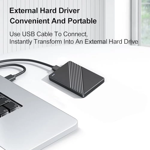 External Hard Drive - 80GB 2.5'' SSD