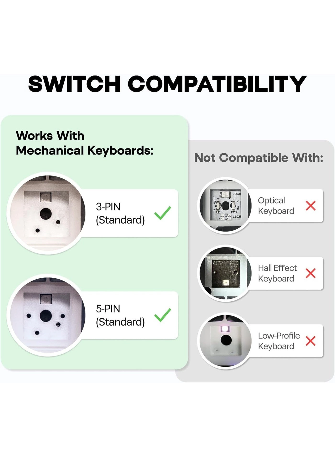 Budgerigar - 35 Pieces
