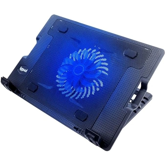 rayihni RP1V17 - 17"