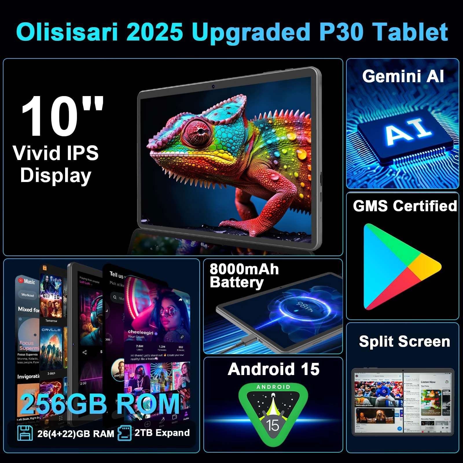 P30 - 256GB 10.1"