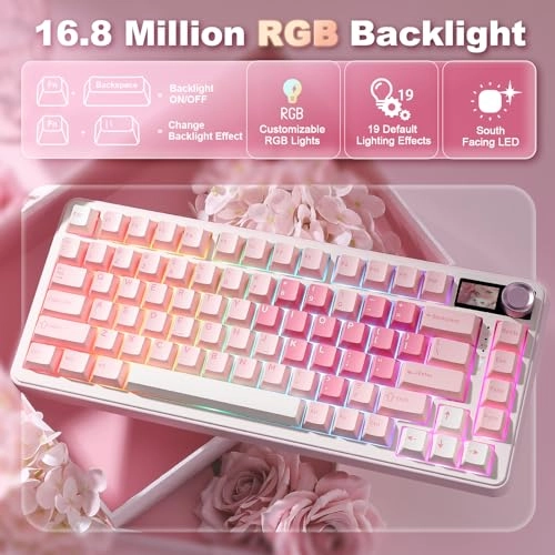 B75 PRO MAX - Wired/Wireless