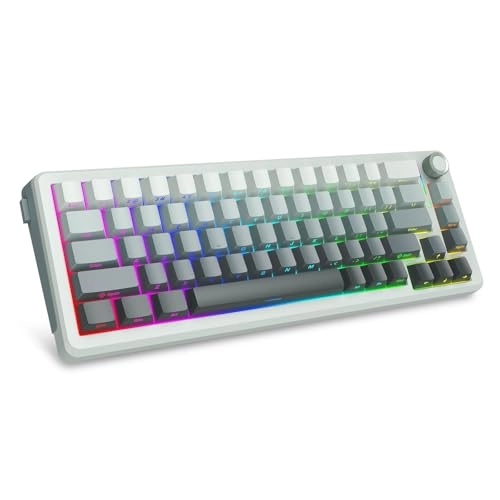 Z-68 - Wired/Wireless