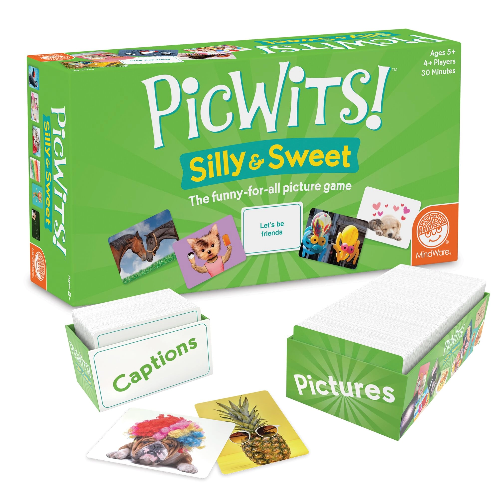 MindWare PicWits