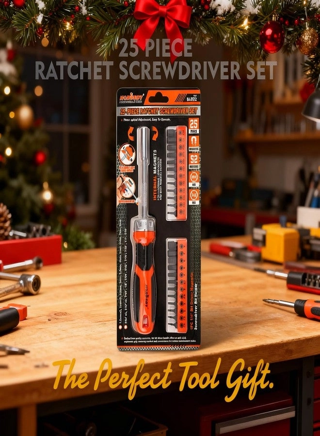 Hex Bit Set - 25-Piece