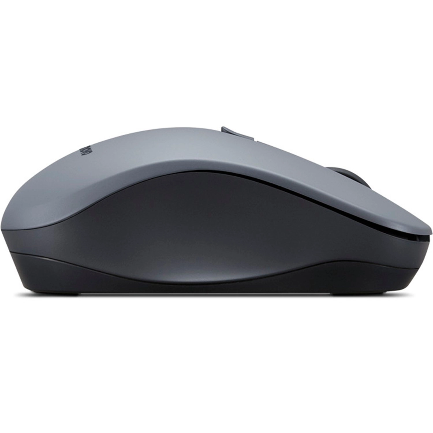 WL310 Silent Mouse - Wireless