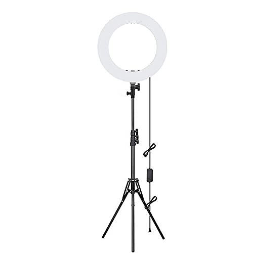 LED Ring Light - 22 Inch