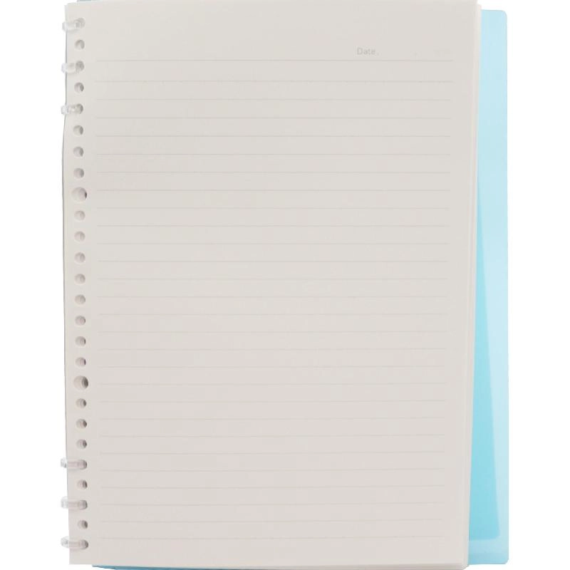 Notebook 19 X 26 cm Spiral - Grid 100 Sheets