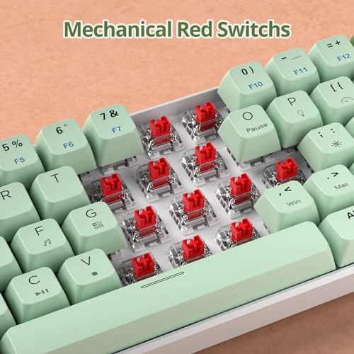 GS61 RGB-61 - US Wired