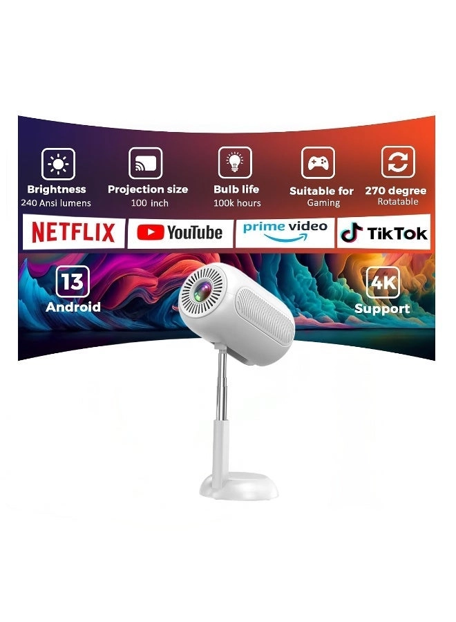 Venus GNVE4KPROJWH 240 ANSI lumens