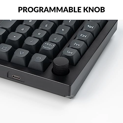 Q0 Plus - Gateron G Pro Red Switch