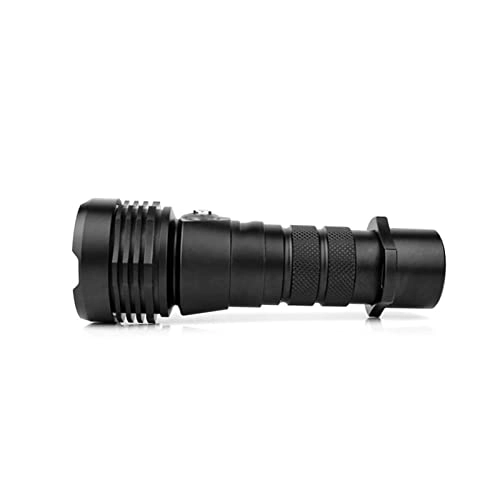Dive Light