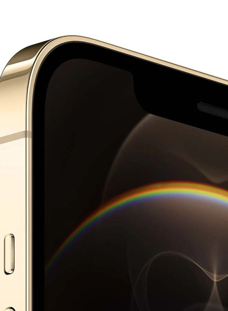 (Renewed) iPhone 12 Pro Max - 512GB