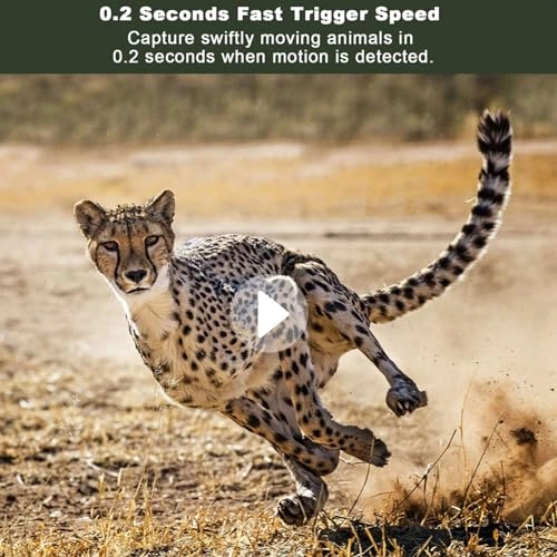 Trail Camera - 4G LTE 14MP