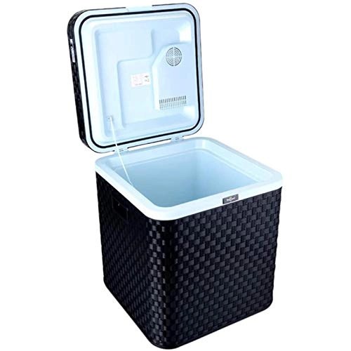 Portable Car Mini Refrigerator - 12V 24V 220V