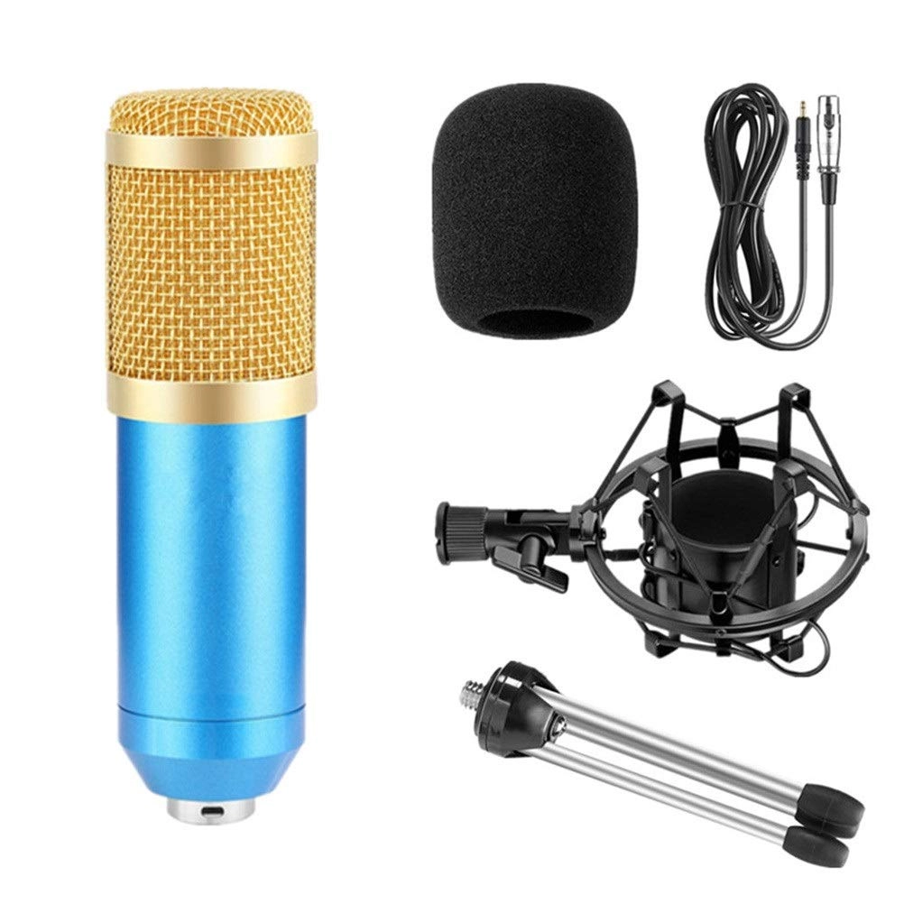 BM 800 XLR Microphone