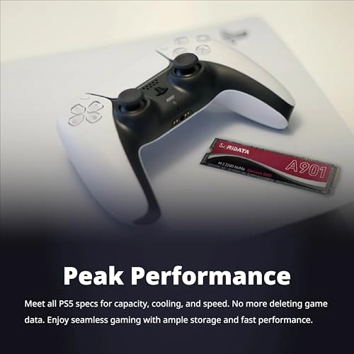 A901 - 500 GB M.2 2280