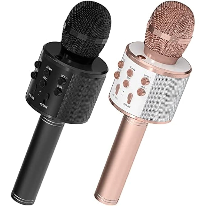 rayihni Karaoke Microphone Pack