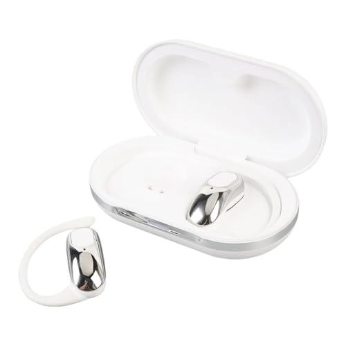 Al Translation Earphones - over 164 languages + Earphone Charging Case + Charging Cable + User Manual