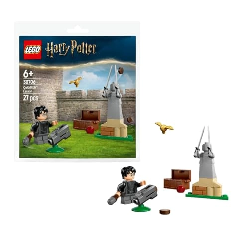 Harry Potter Quidditch Lesson (30706)