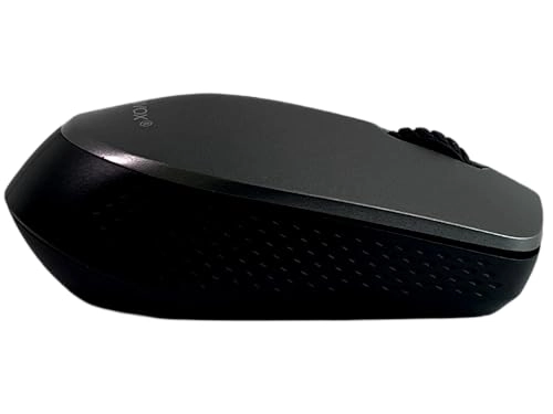 SX-1000 - 2.4GHz Wireless
