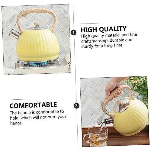 Stainless Steel Kettle - 3L