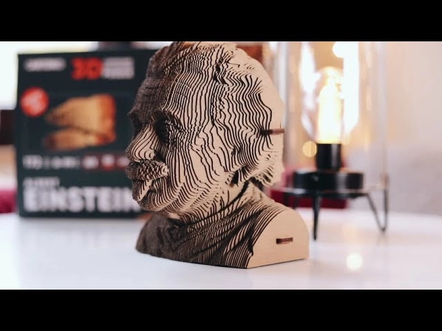 Albert Einstein 3D Puzzle (CARTMALB) - 172 pcs