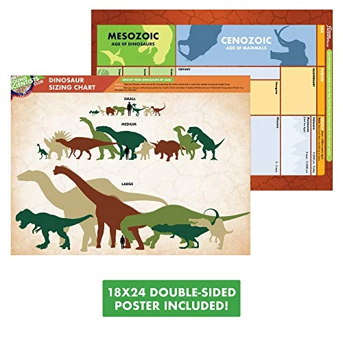 Prehistoric Animal Card Games Paleontology - 5 years+ 80 pieces