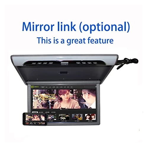 Car Ceiling Display - 19 Inch