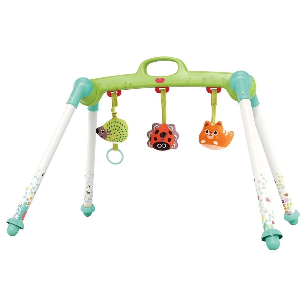 HOLA Baby Activity Play Gym - 0 month