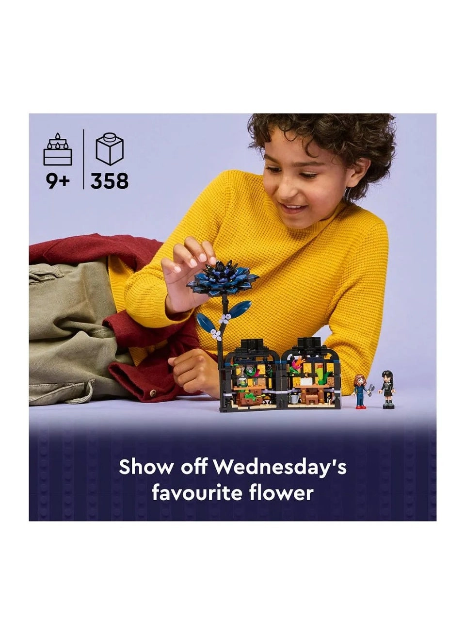 Wednesday Black Dahlia Flower