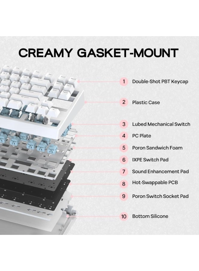 G84 - Wired/Wireless