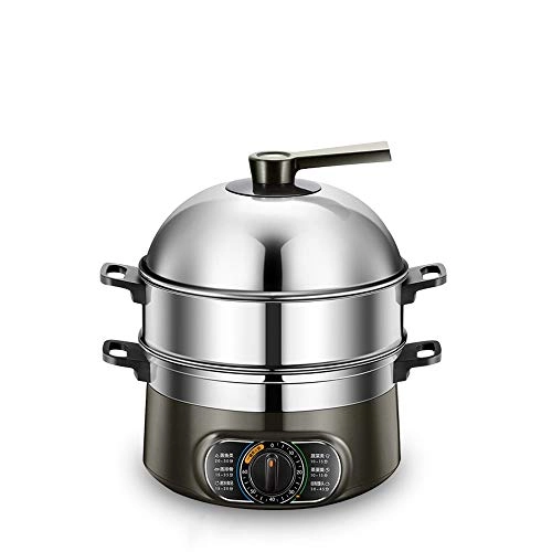 Electric Steamer - 10 Liters