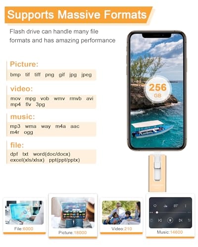 Photo Stick - 256GB