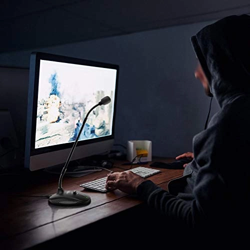 Mini Gooseneck USB Microphone