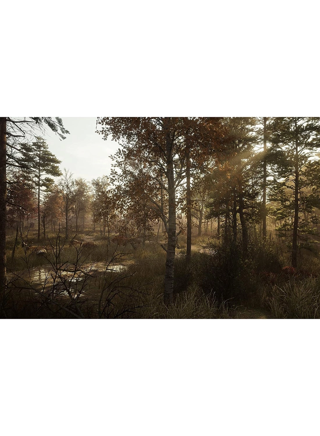 Chernobylite - PlayStation 5